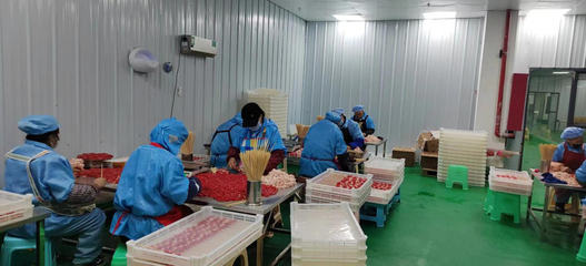 水城区供销社 兴办企业架起搬迁户就业桥——投资咨询助力乡村振兴